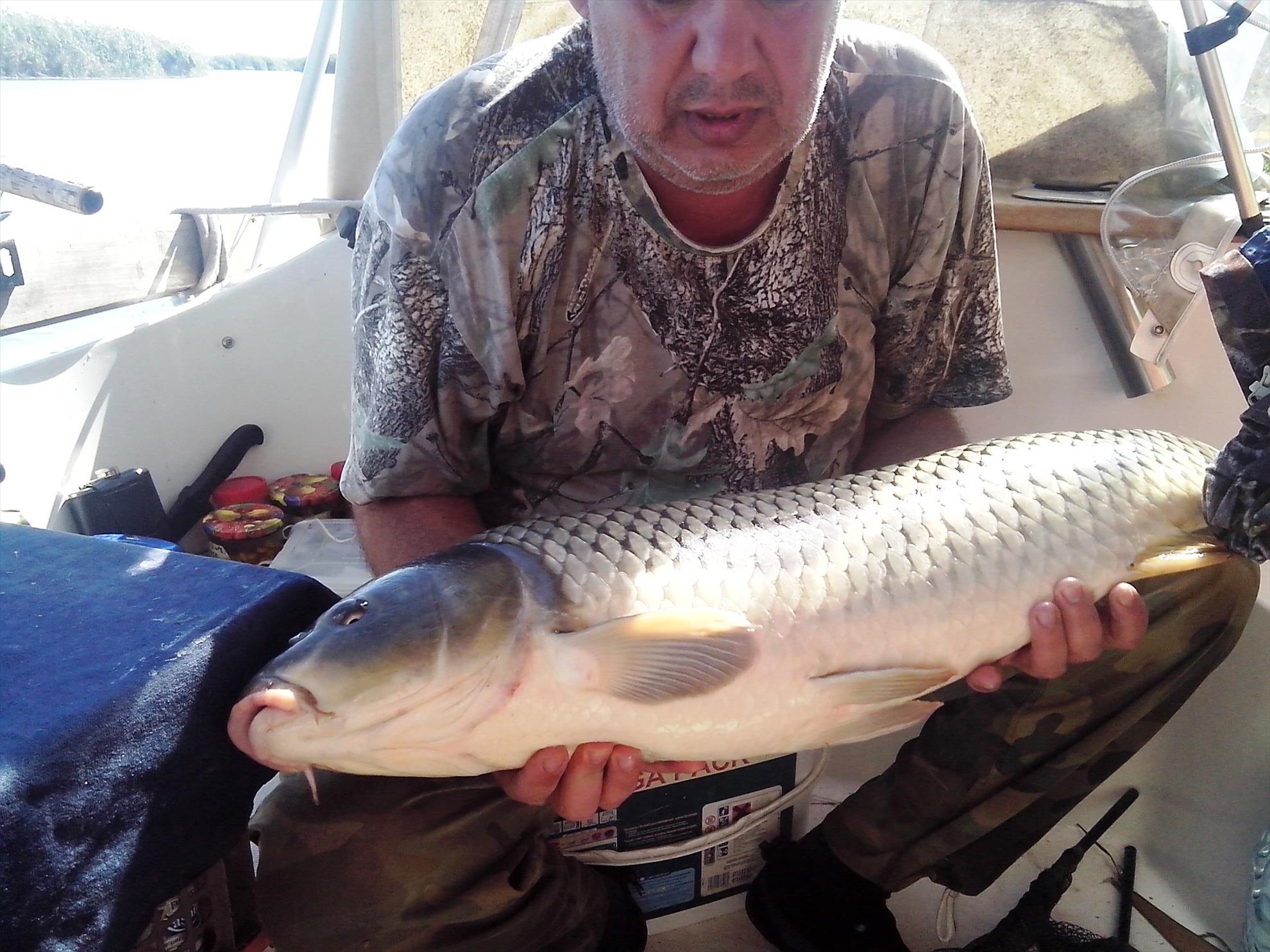 Sulina septembrie 2014 - img20140925141108.jpg